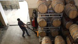 La vitivinicultura entró al programa de asistencia al trabajo y la producción