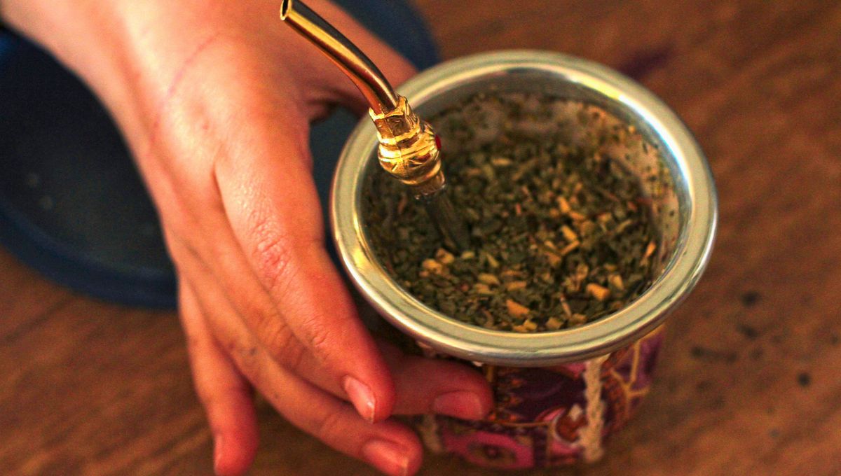 El mate es una infusión muy popular. Los argentinos consumen aproximadamente kilos de yerba mate al año El mate es una infusión muy popular. Los argentinos consumen aproximadamente kilos de yerba mate al año