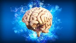 Según Harvard, hay un alimento perjudicial para el cerebro que no debés comer nunca.