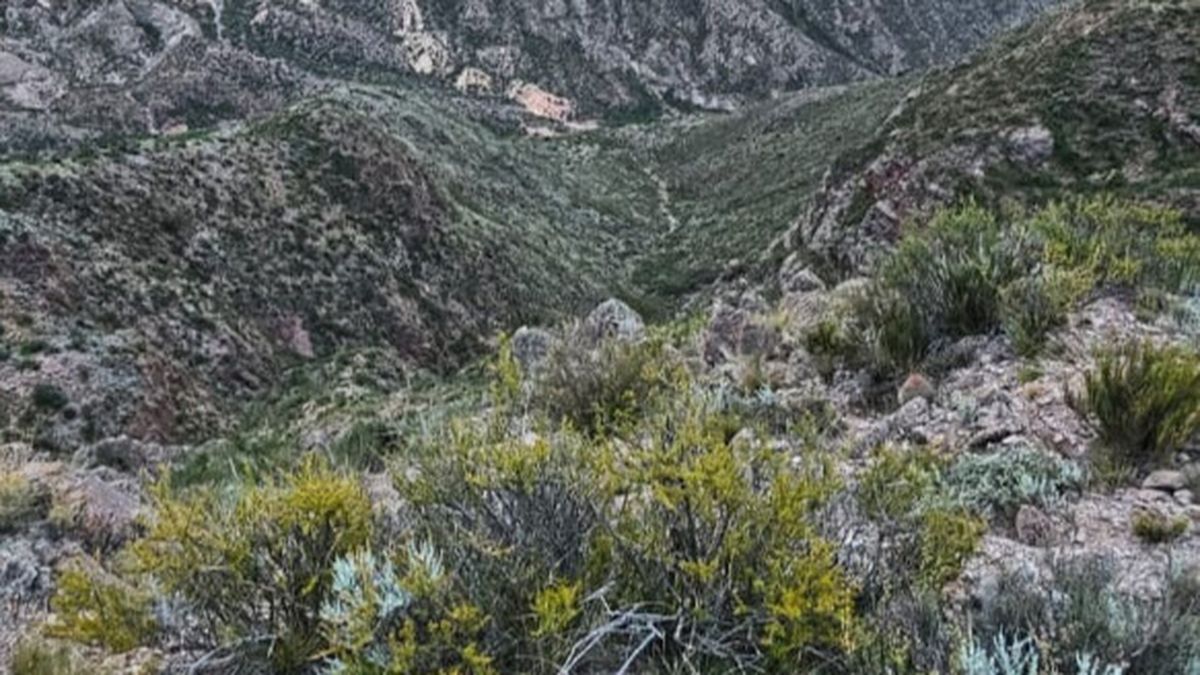 Inmediaciones del cerro Las Cabras, donde el martes a la noche se rescat&oacute; a una mujer que se hab&iacute;a descompensado.