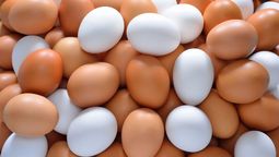 El huevo marrón y el huevo blanco aportan a las personas la misma cantidad de nutrientes.