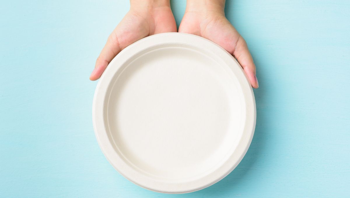 Los platos descartables pueden usarse en muchas manualidades e ideas de reciclaje. 