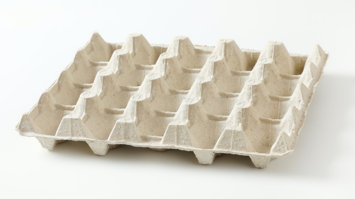 Recicla el cartón del maple de huevos con esta colorida y decorativa idea para tu hogar