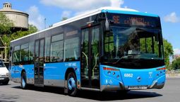 España busca más de 4.700 conductores con urgencia: da trabajo y canjearán licencias de conducir a extranjeros para la oferta