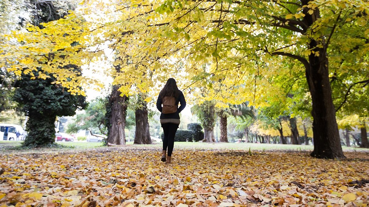 El otoño regala sus últimas postales en Mendoza. El otoño regala sus últimas postales en Mendoza.