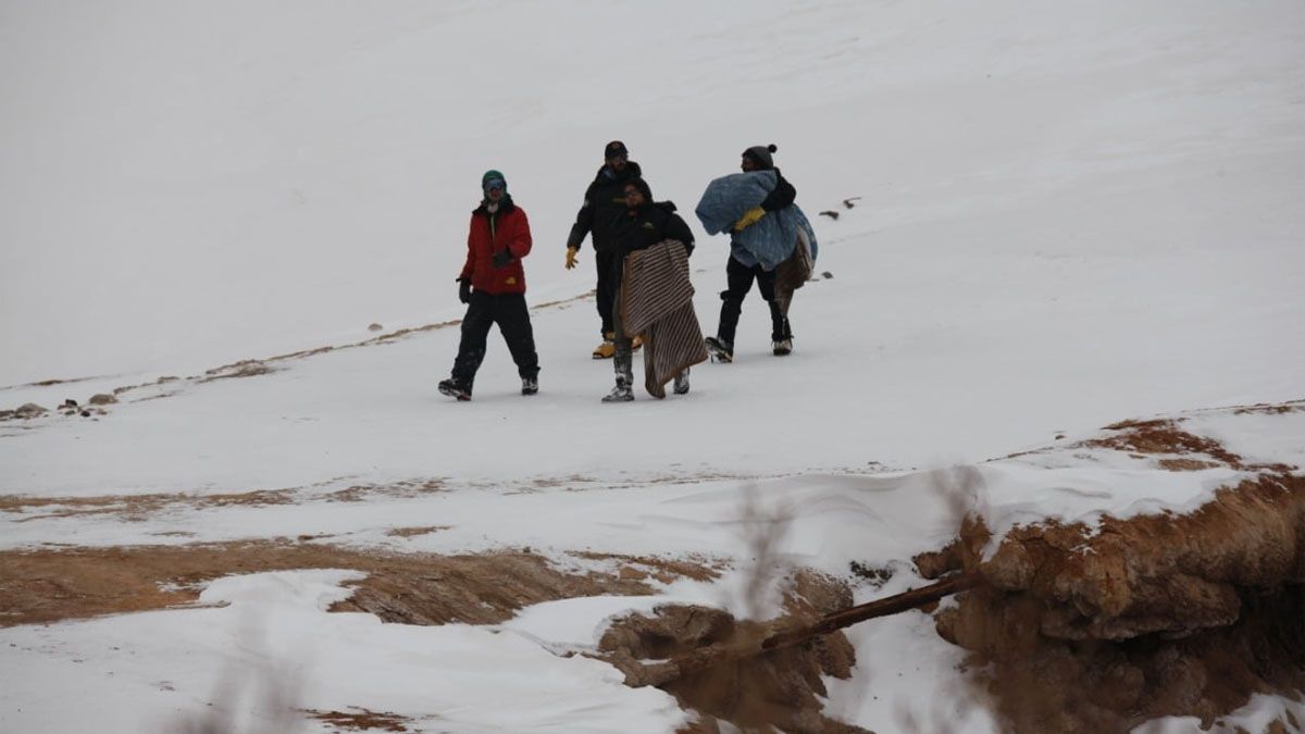 Guardaparques rescataron al cóndor andino juvenil en Puente del Inca.