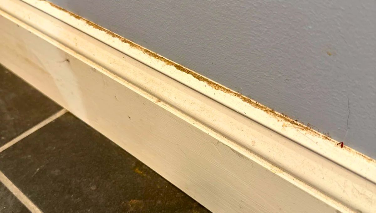 El truco casero para dejar impecable cualquier zócalo de la casa