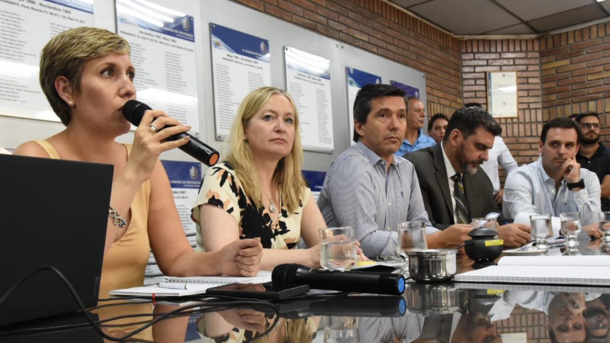 La ministra de Energía, Jimena Latorre, durante su exposición sobre el nuevo Código de Procedimiento Minero en la Legislatura. La ministra de Energía, Jimena Latorre, durante su exposición sobre el nuevo Código de Procedimiento Minero en la Legislatura.