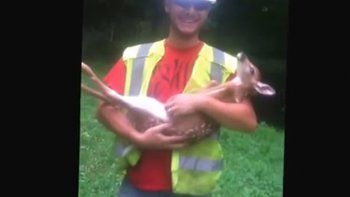 Bambi mañoso: se enoja si dejan de mimarlo