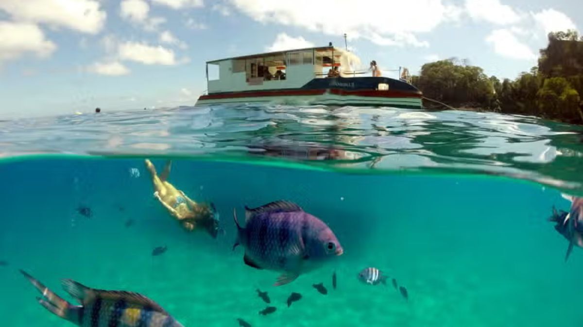 El archipiélago de Brasil que es un sueño hecho realidad. El archipiélago de Brasil que es un sueño hecho realidad.
