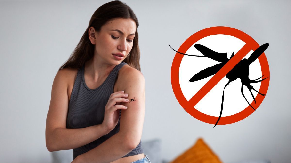Mosquitos