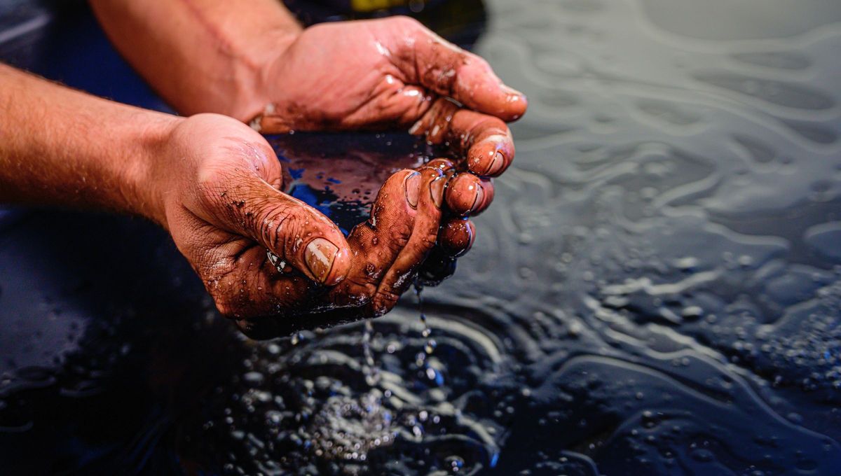 Se lo conoció como uno de los mayores derrames de petróleo de la historia. Se lo conoció como uno de los mayores derrames de petróleo de la historia.