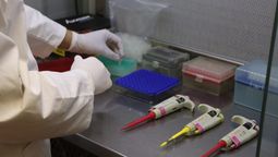 El estudio tuvo resultados sorprendentes que modifican en parte lo que sabemos de nuestro país. El estudio tuvo resultados sorprendentes que modifican en parte lo que sabemos de nuestro país.