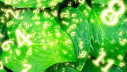 Predicciones de la numerología para esta semana.