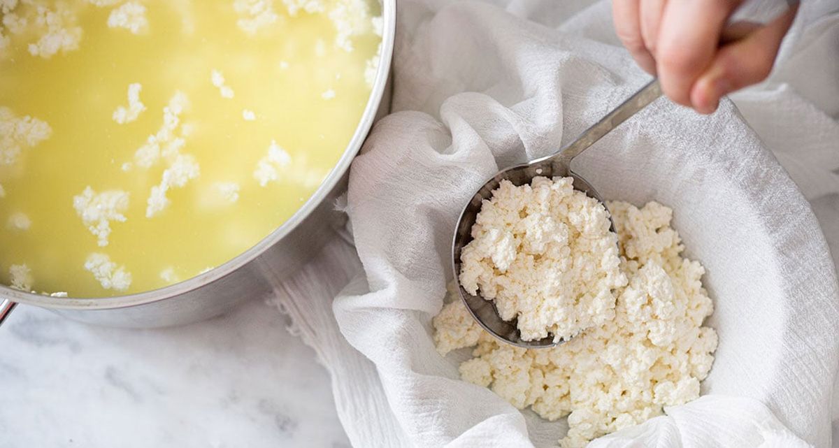 Esta receta de queso utiliza el limón como ingrediente ácido para que se forme la cuajada y el suero. Esta receta de queso utiliza el limón como ingrediente ácido para que se forme la cuajada y el suero.