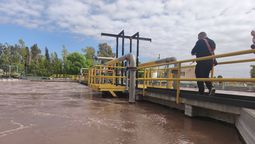 Cervecería y Maltería Quilmes, propietaria de Andes, redujo en un 21% el consumo de agua en sus operaciones en Argentina, en los últimos cinco años.