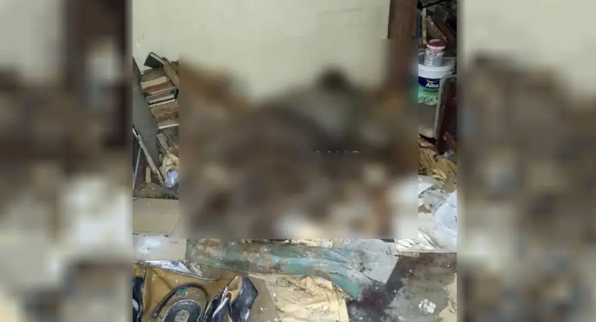 Un hombre que compró una vivienda, se mudó y encontró un cuerpo en un galpón junto a elementos en desuso, latas de pintura y maderas Un hombre que compró una vivienda, se mudó y encontró un cuerpo en un galpón junto a elementos en desuso, latas de pintura y maderas