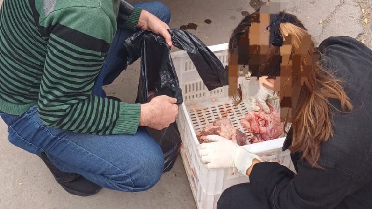 Secuestraron 50 kilos de achuras en San Martín y un hombre fue detenido. Foto: Ministerio de Seguridad.