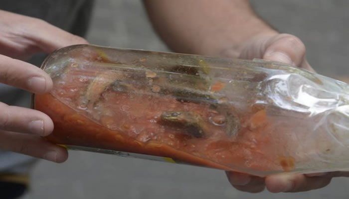 Prepararon una pizza, se la comieron, se descompusieron y descubrieron que en la salsa había una víbora