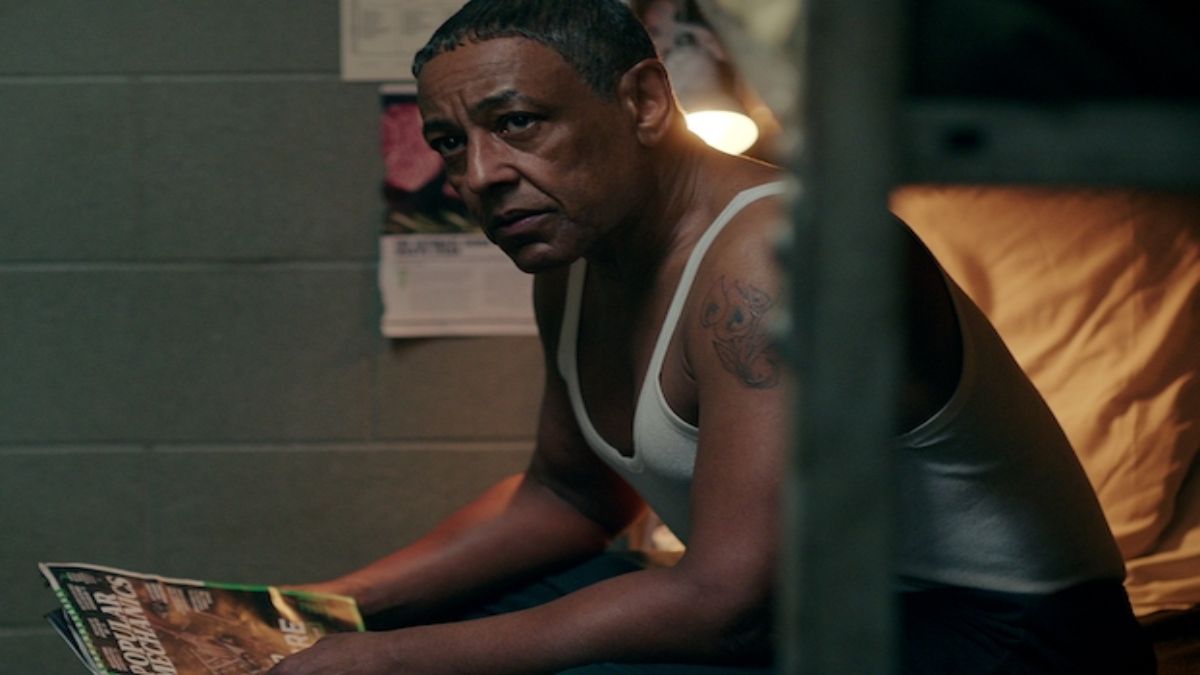 Netflix sumará una particular serie durante Año Nuevo