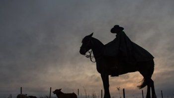 Los gauchos brasileños