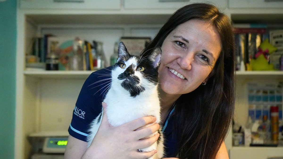 Volvió de México a Mendoza para cursar en Rosario la especialidad en medicina felina. Volvió de México a Mendoza para cursar en Rosario la especialidad en medicina felina.