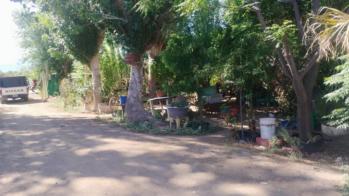 Tragedia en Guaymallén: un sodero atropelló a una niña de 2 años y la mató - Image 2