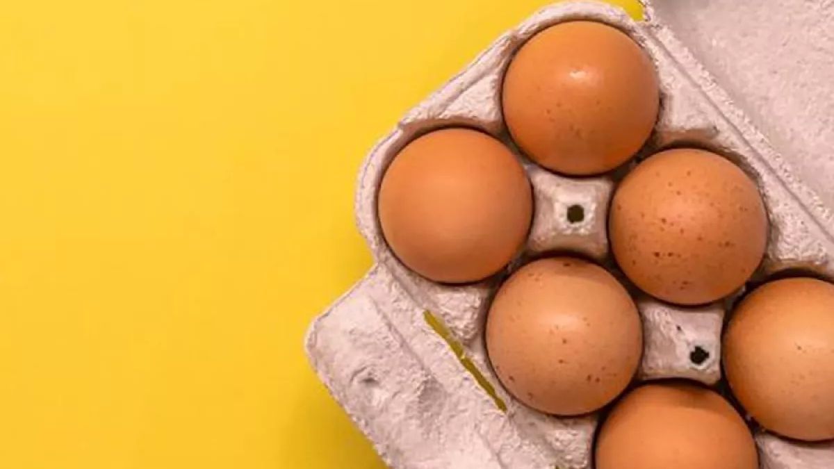 Reciclaje de cartón para huevos y decoración de tu hogar.&nbsp;