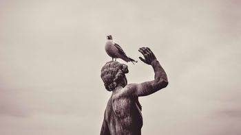 Filosofía china: el proverbio que compara la tristeza con un pájaro y deja una lección inolvidable Filosofía china: el proverbio que compara la tristeza con un pájaro y deja una lección inolvidable