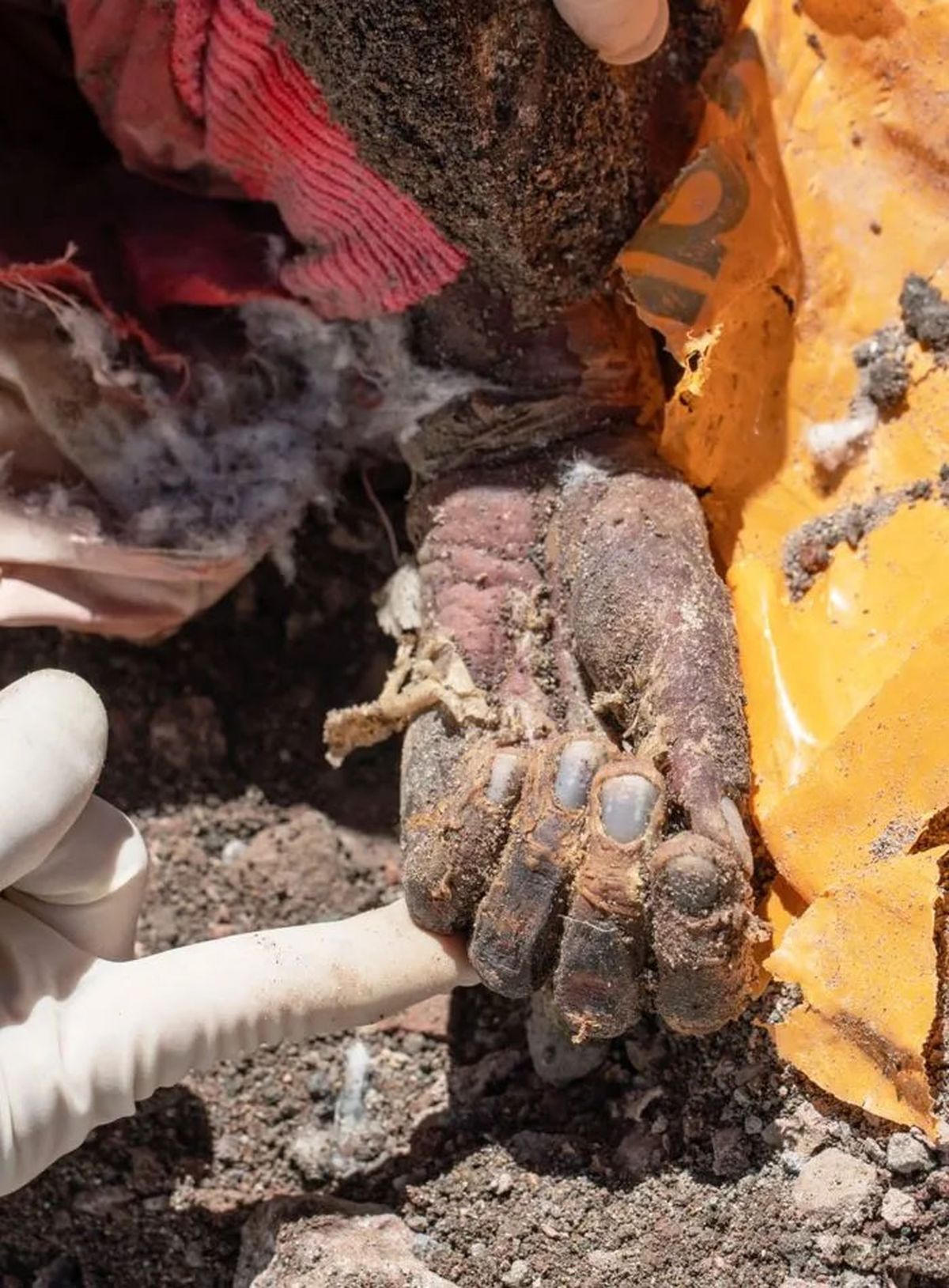 El brazo de Janet Johnson también fue encontrado en el 2020. Se lo cortaron cuando rescataron su cuerpo en 1975, debido a que no podían sacarlo del glaciar. Foto: Gentileza Pablo Betancourt El brazo de Janet Johnson también fue encontrado en el 2020. Se lo cortaron cuando rescataron su cuerpo en 1975, debido a que no podían sacarlo del glaciar. Foto: Gentileza Pablo Betancourt
