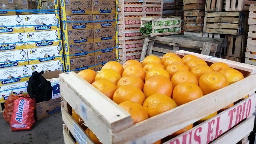El ANMAT y el SENASA tendrán las funciones de hacer actualizaciones en el Código Alimentario Argentino.