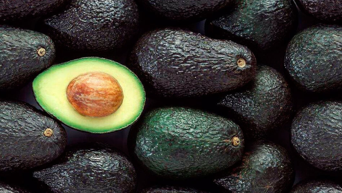 Toma nota y mira los beneficios de sumar palta a tu dieta