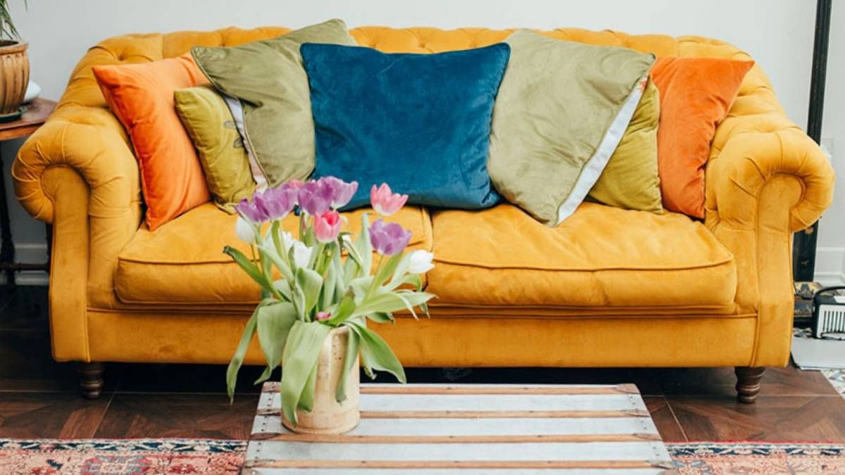 Limpia y deja reluciente los muebles de terciopelo en pocos pasos y sin arruinarlos