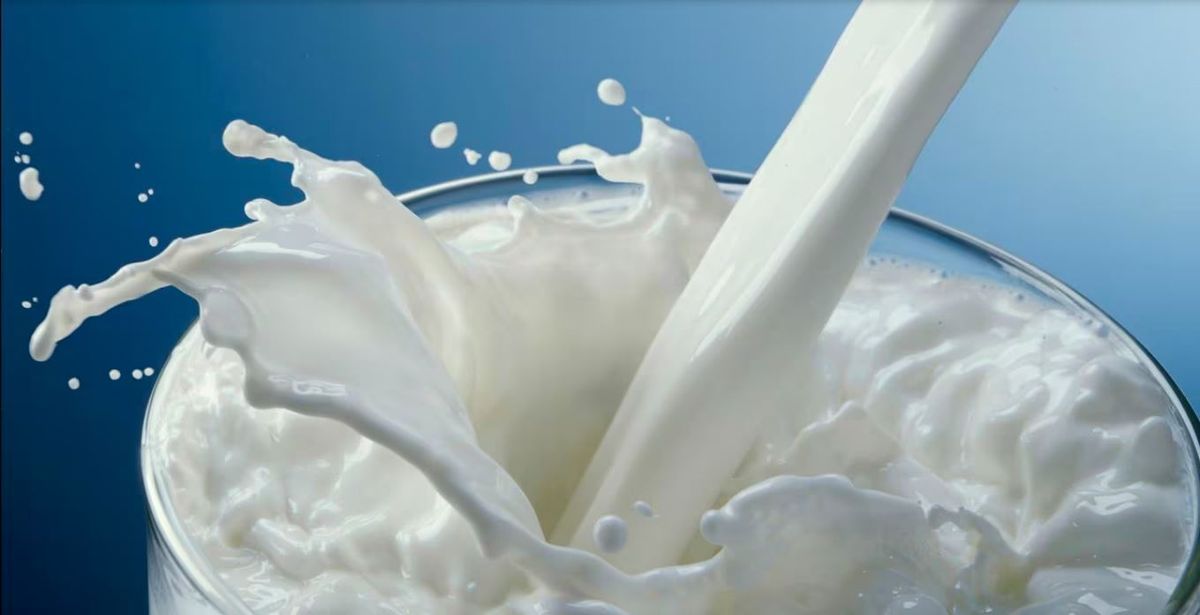 Beneficio de tomar leche antes de dormir. Beneficio de tomar leche antes de dormir.