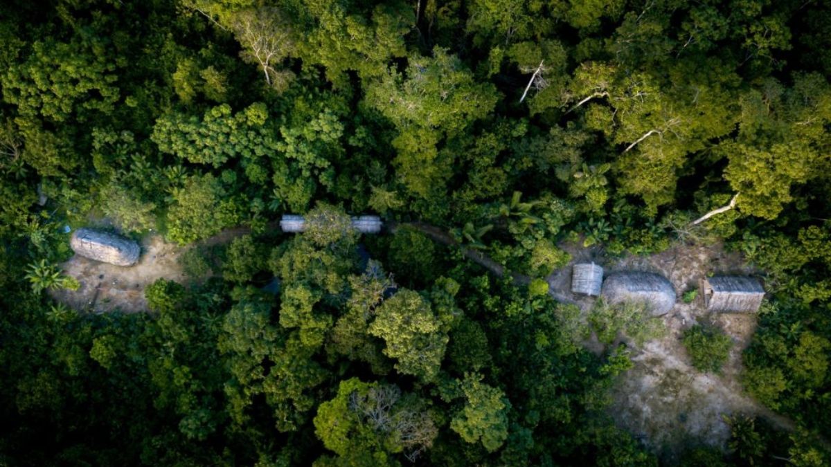 Aumentar la financiación internacional para la protección del ambiente es el principal objetivo. (Foto: Alamy)