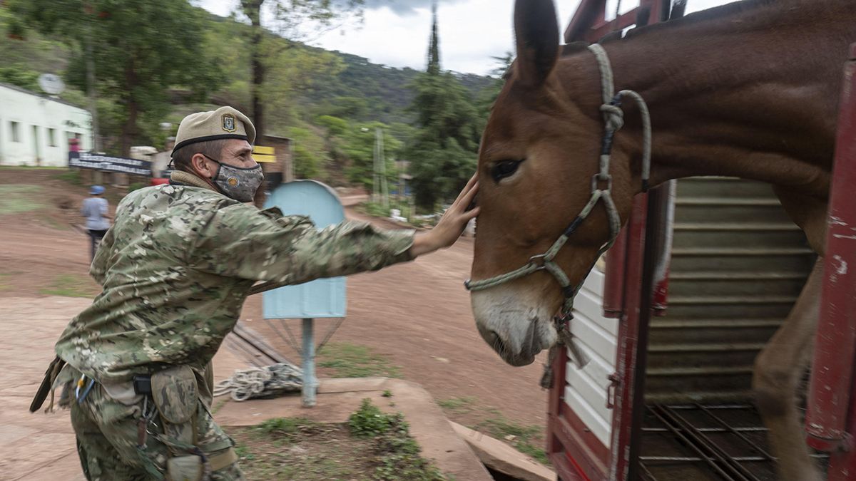 Elecciones 2021: en algunos lugares como el paraje El Durazno en la Puna juje&ntilde;a el operativo de entrega de urnas incluy&oacute; un recorrido de 12 horas en mula.