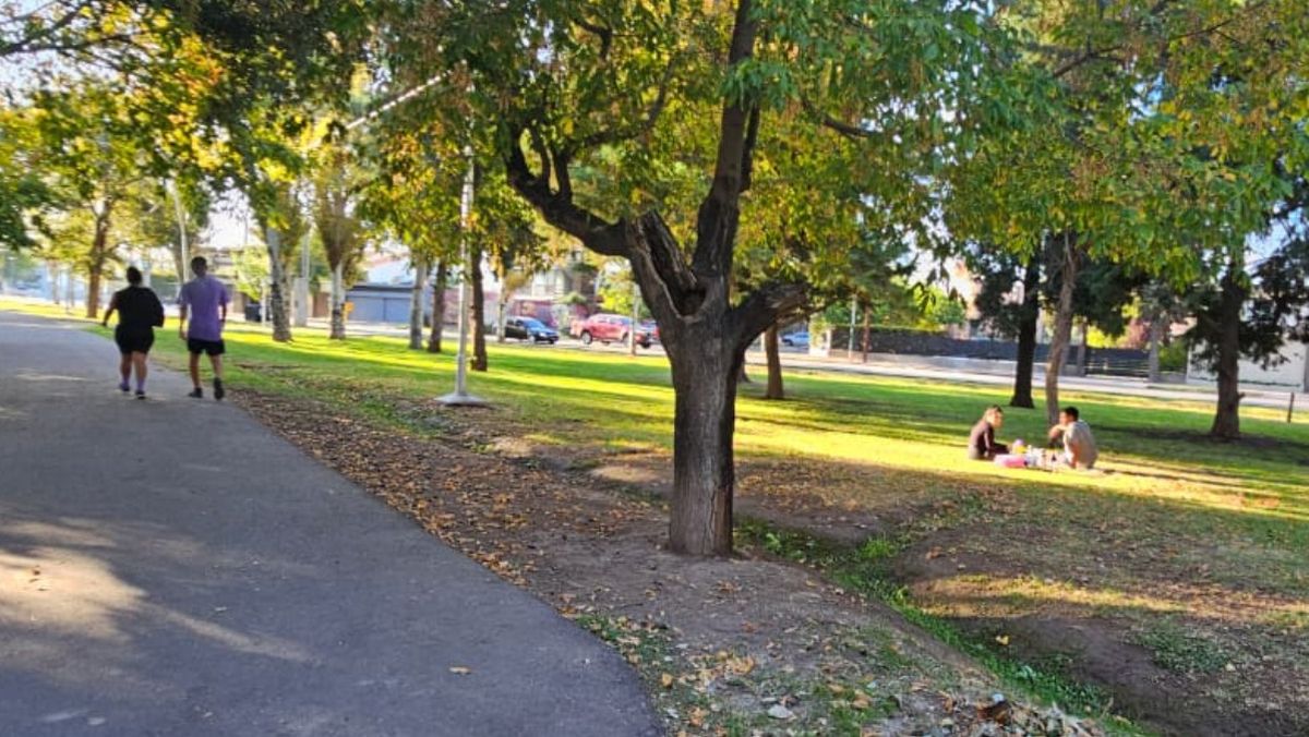 Pronóstico del tiempo en Mendoza para toda la semana. Se esperan lluvias y tormentas para este domingo