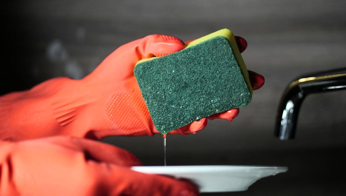 El estudio en cuestión fue realizado en Alemania