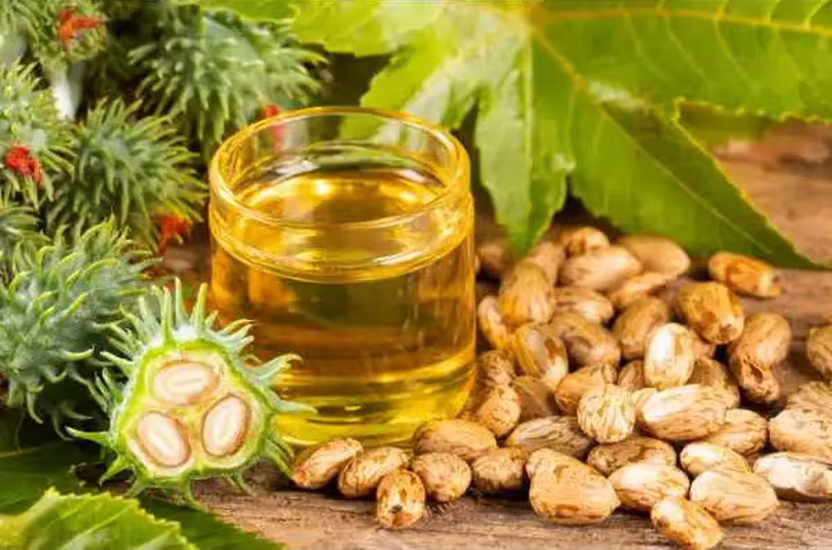 El aceite de ricino es un aceite efectivo para hacer crecer tus pestañas El aceite de ricino es un aceite efectivo para hacer crecer tus pestañas