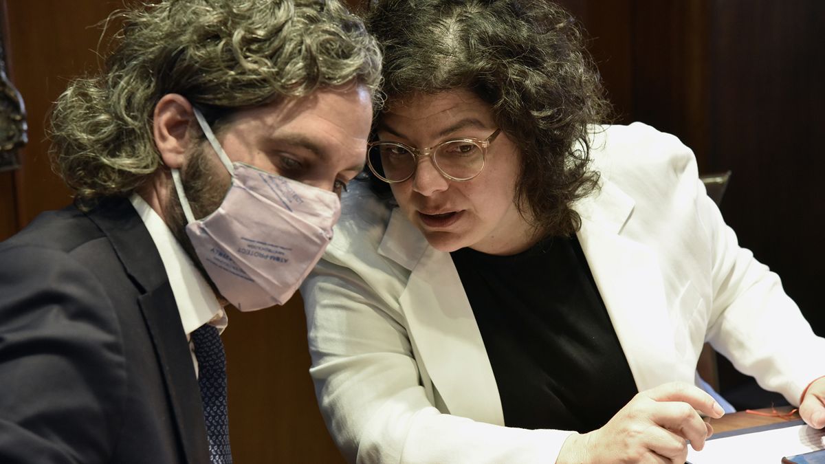 Santiago Cafiero y Carla Vizzotti encabezarán este lunes reunión con expertos para analizar la situación epidemiológica en la Argentina por la segunda ola.