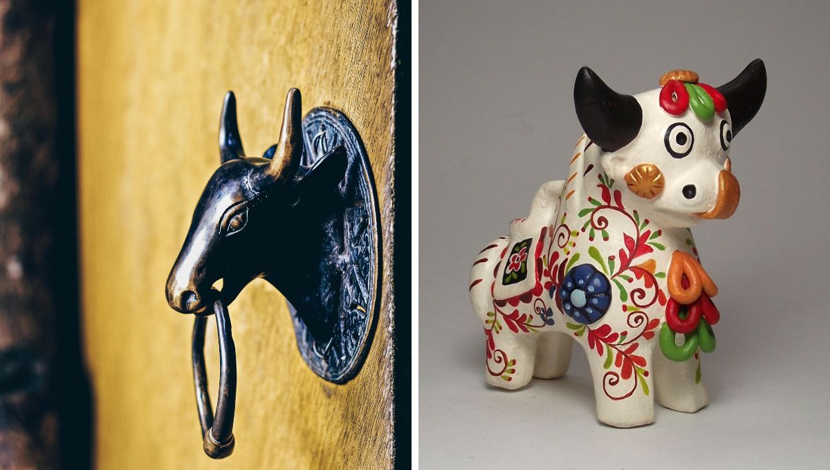 El toro representa poder y virilidad. El toro representa poder y virilidad. 