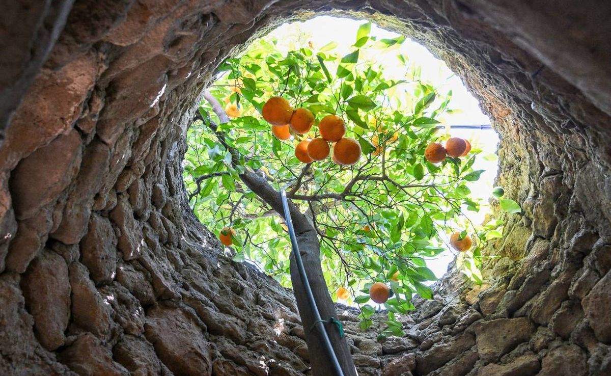 Los pasadizos y grutas ofrecen una experiencia única para los visitantes, conectándolos con la mente creativa de su fundador Los pasadizos y grutas ofrecen una experiencia única para los visitantes, conectándolos con la mente creativa de su fundador
