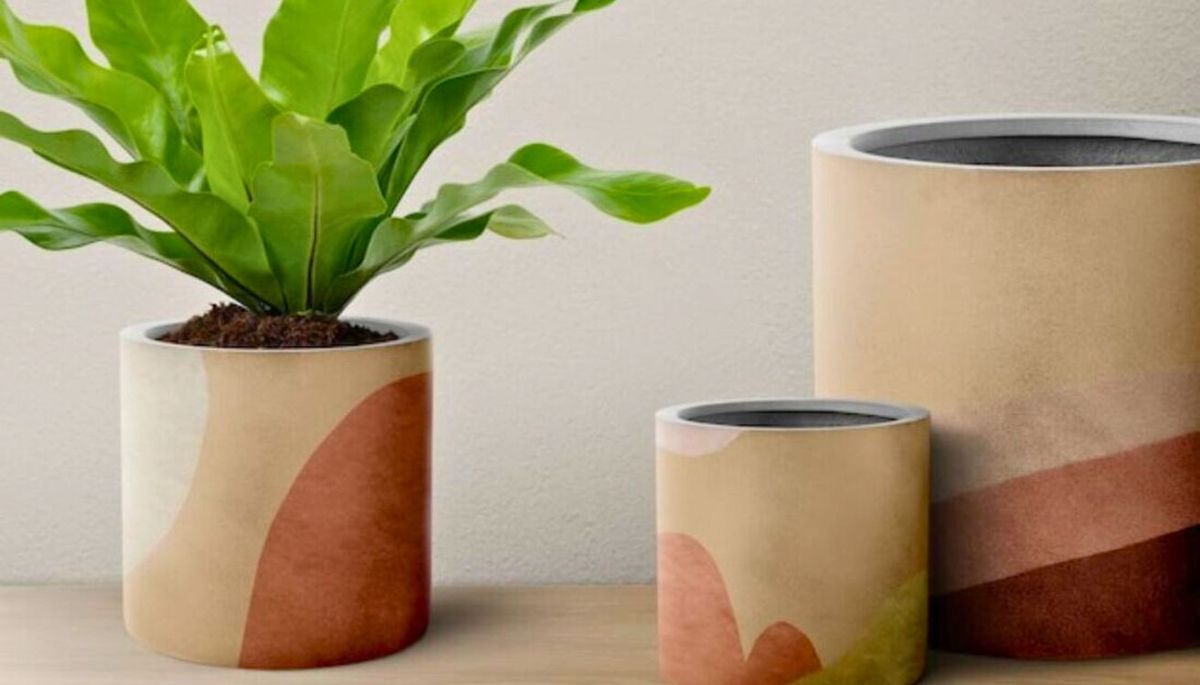 Adiós a las macetas tradicionales: cómo hacer un recipiente casero para que tus plantas luzcan hermosas