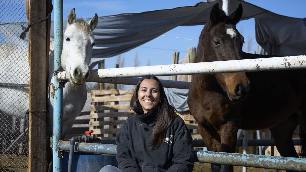 Patroclo y Aragon junto a Yésica Valenzuela, la presidenta de Pempa, quien lucha para rescatar caballos del maltrato animal. Patroclo y Aragon junto a Yésica Valenzuela, la presidenta de Pempa, quien lucha para rescatar caballos del maltrato animal.