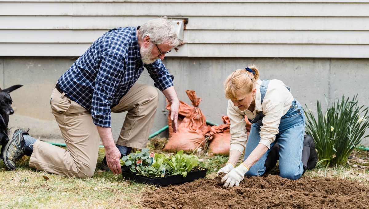 Trucos de jardineros para cuidar las plantas del invierno