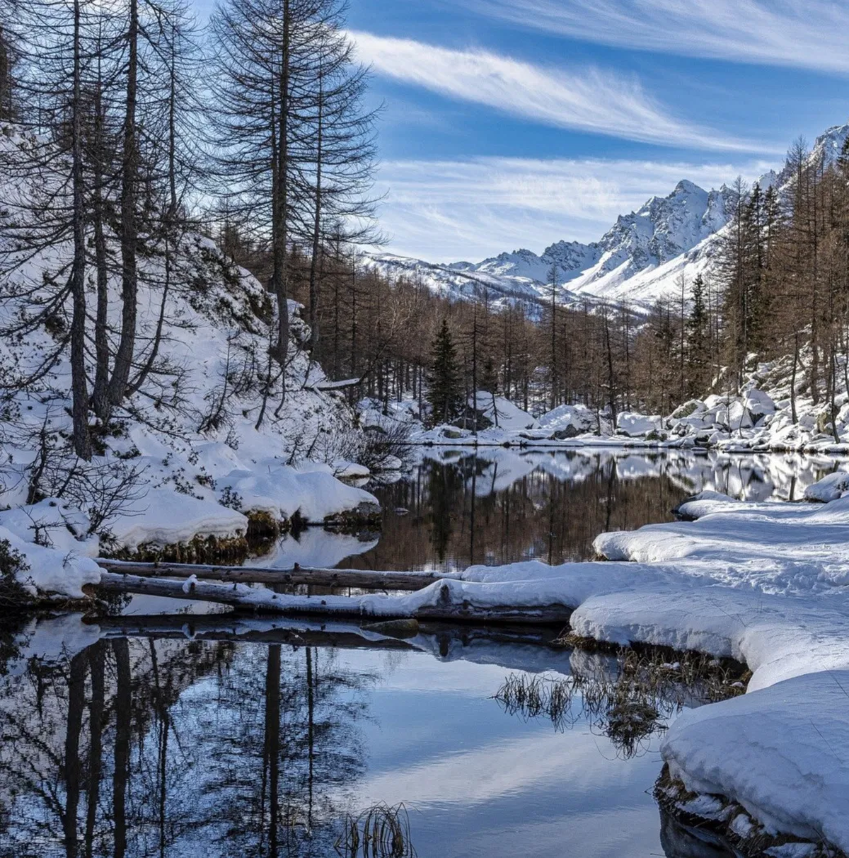 Todos los años los inviernos se vuelven cada vez mas fríos. Todos los años los inviernos se vuelven cada vez mas fríos. 