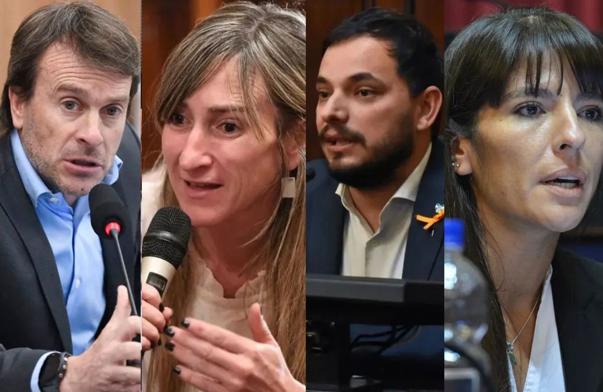 Nieri, Llano, Martínez y Verasay tuvieron asistencia perfecta a las 14 sesiones de diputados nacionales