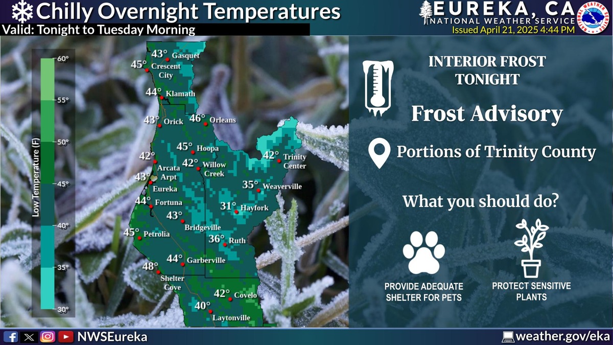 Varias ciudades se encuentran en alerta por las bajas temperaturas Varias ciudades se encuentran en alerta por las bajas temperaturas