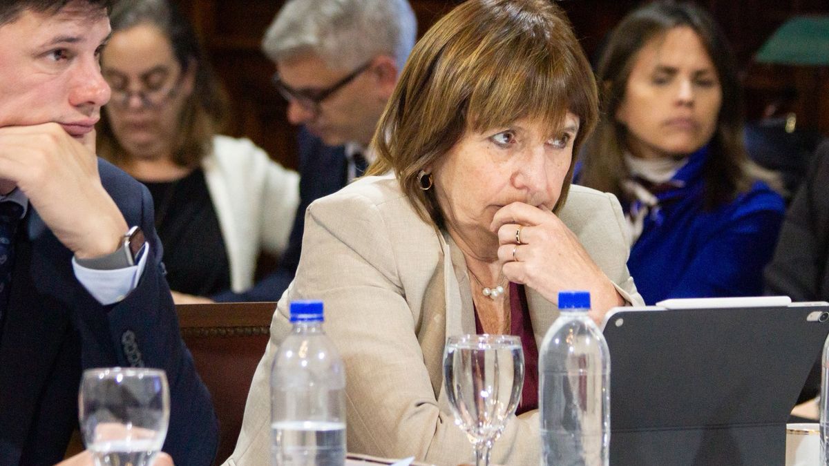 La senadora nacional Patricia Bullrich se diferenció de Manuel Adorni. La senadora nacional Patricia Bullrich se diferenció de Manuel Adorni.
