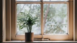 Cómo evitar que las heladas dañen tus plantas con estos consejos de los expertos en jardinería